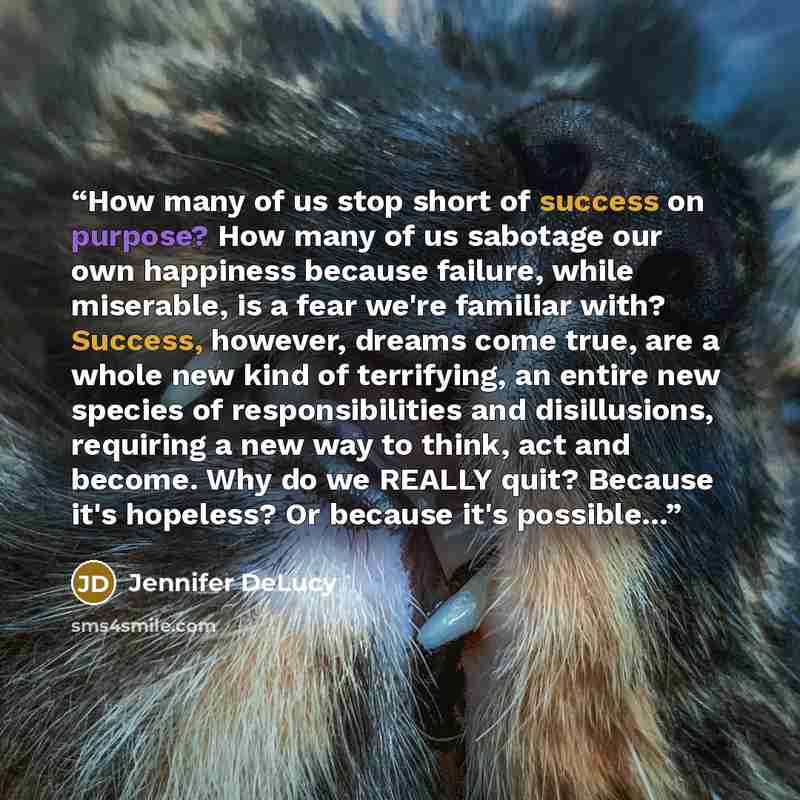 “How many of us stop short of success on purpose? How many of us sabotage our own happiness because failure, while miserable, is a fear we're familiar with? Success, however, dreams come true, are a whole new kind of terrifying, an entire new species of responsibilities and disillusions, requiring…” quote by Jennifer DeLucy