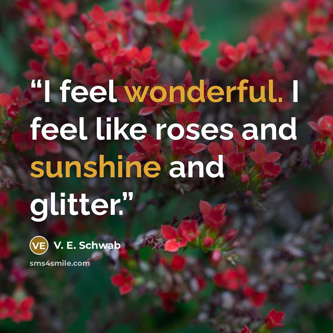 “I feel wonderful. I feel like roses and sunshine and glitter.” quote by V. E. Schwab