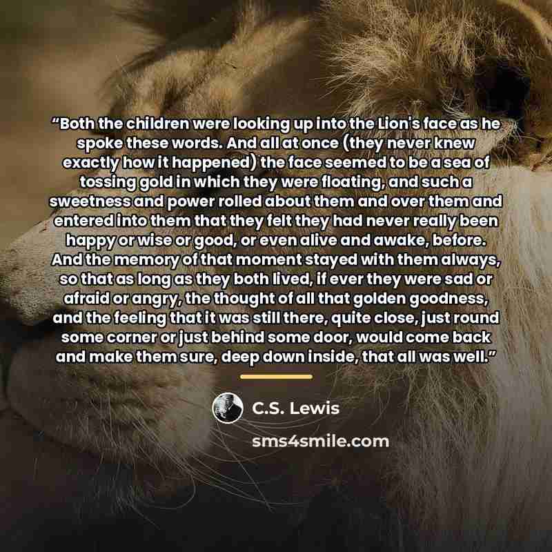 “Both the children were looking up into the Lion's face as he spoke these words. And all at once (they never knew exactly how it happened) the face seemed to be a sea of tossing gold in which they were floating, and such a sweetness and power rolled about them and over them and entered into them…” quote by C.S. Lewis