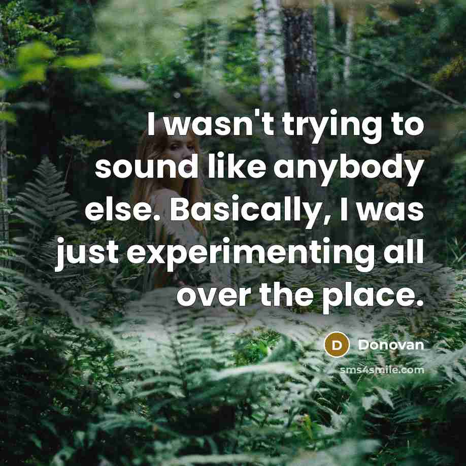 “I wasn't trying to sound like anybody else. Basically, I was just experimenting all over the place.” quote by Donovan