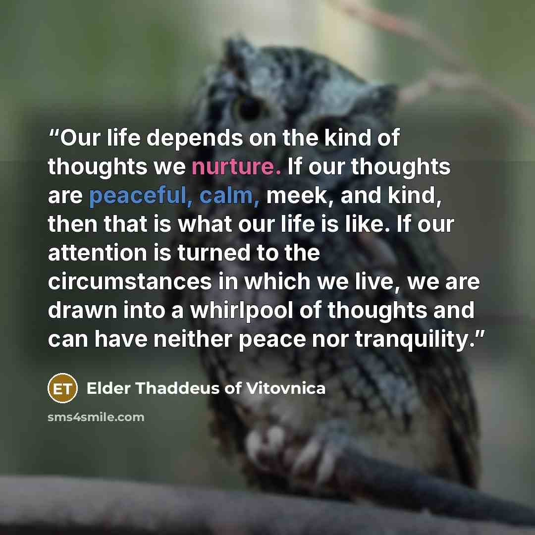 “Our life depends on the kind of thoughts we nurture. If our thoughts are peaceful, calm, meek, and kind, then that is what our life is like. If our attention is turned to the circumstances in which we live, we are drawn into a whirlpool of thoughts and can have neither peace nor tranquility.” quote by Elder Thaddeus of Vitovnica