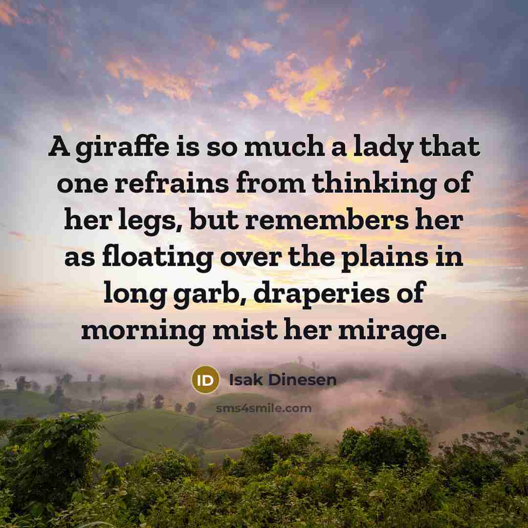 “A giraffe is so much a lady that one refrains from thinking of her legs, but remembers her as floating over the plains in long garb, draperies of morning mist her mirage.” quote by Isak Dinesen