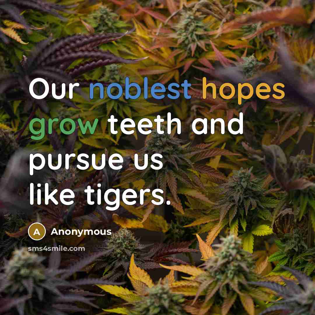 “Our noblest hopes grow teeth and pursue us like tigers.” quote by Anonymous