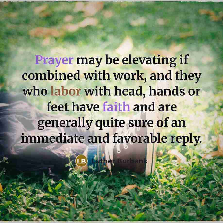 “Prayer may be elevating if combined with work, and they who labor with head, hands or feet have faith and are generally quite sure of an immediate and favorable reply.” quote by Luther Burbank