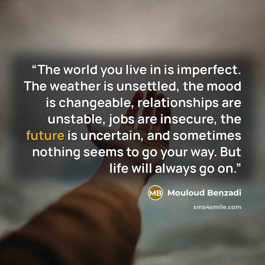 “The world you live in is imperfect. The weather is unsettled, the mood is changeable, relationships are unstable, jobs are insecure, the future is uncertain, and sometimes nothing seems to go your way. But life will always go on.” quote by Mouloud Benzadi