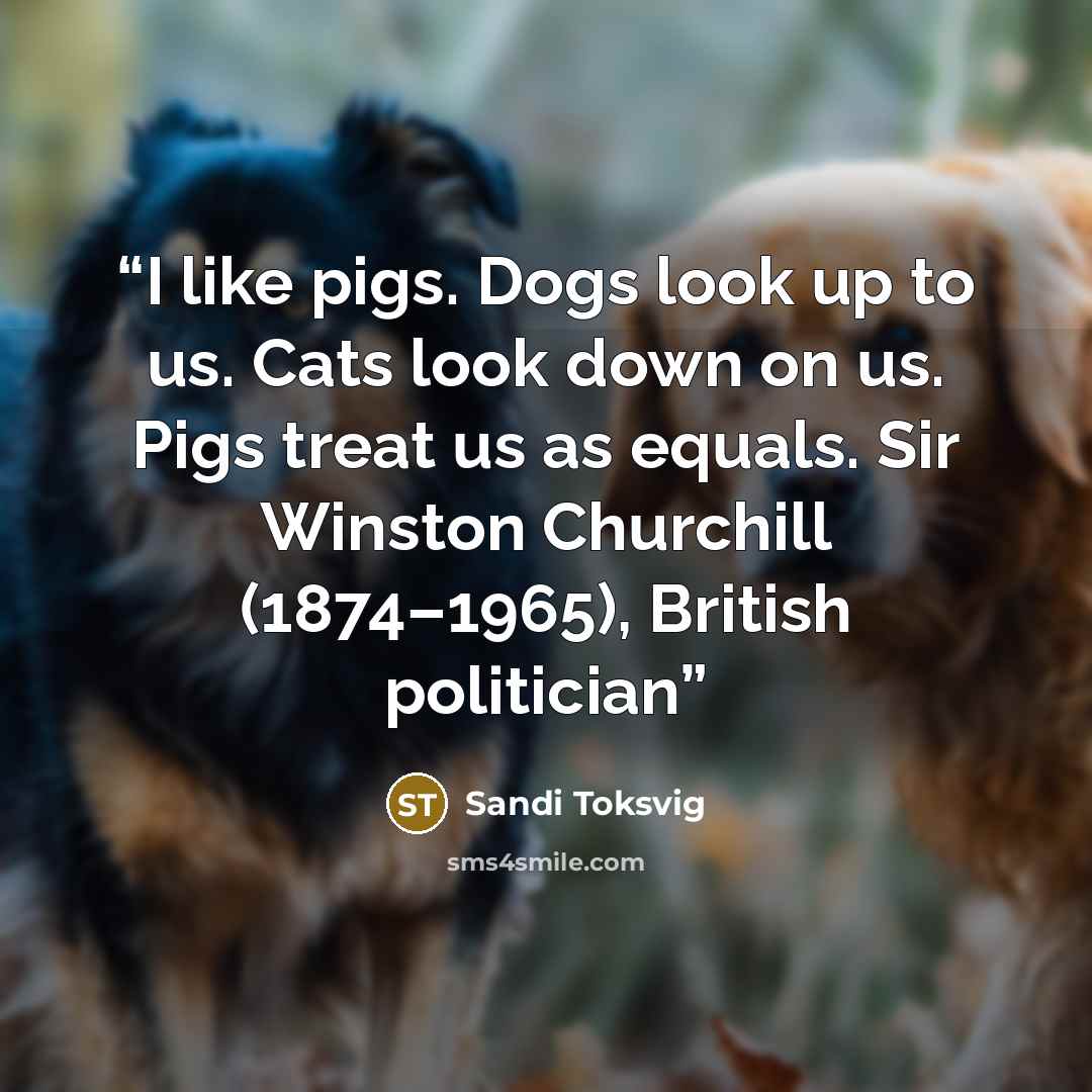“I like pigs. Dogs look up to us. Cats look down on us. Pigs treat us as equals. Sir Winston Churchill (1874–1965), British politician” quote by Sandi Toksvig