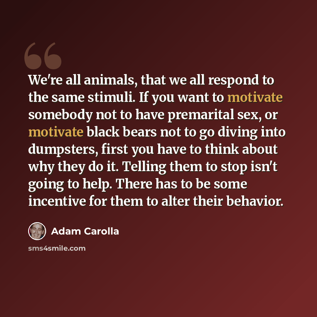 “We're all animals, that we all respond to the same stimuli. If you want to motivate somebody not to have premarital sex, or motivate black bears not to go diving into dumpsters, first you have to think about why they do it. Telling them to stop isn't going to help. There has to be some incentive…” quote by Adam Carolla