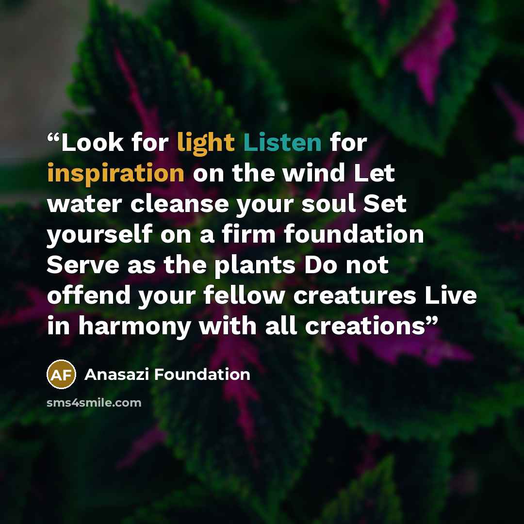“Look for light Listen for inspiration on the wind Let water cleanse your soul Set yourself on a firm foundation Serve as the plants Do not offend your fellow creatures Live in harmony with all creations” quote by Anasazi Foundation
