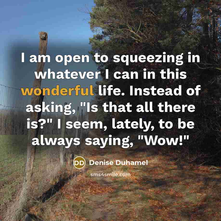“I am open to squeezing in whatever I can in this wonderful life. Instead of asking, "Is that all there is?" I seem, lately, to be always saying, "Wow!"” quote by Denise Duhamel