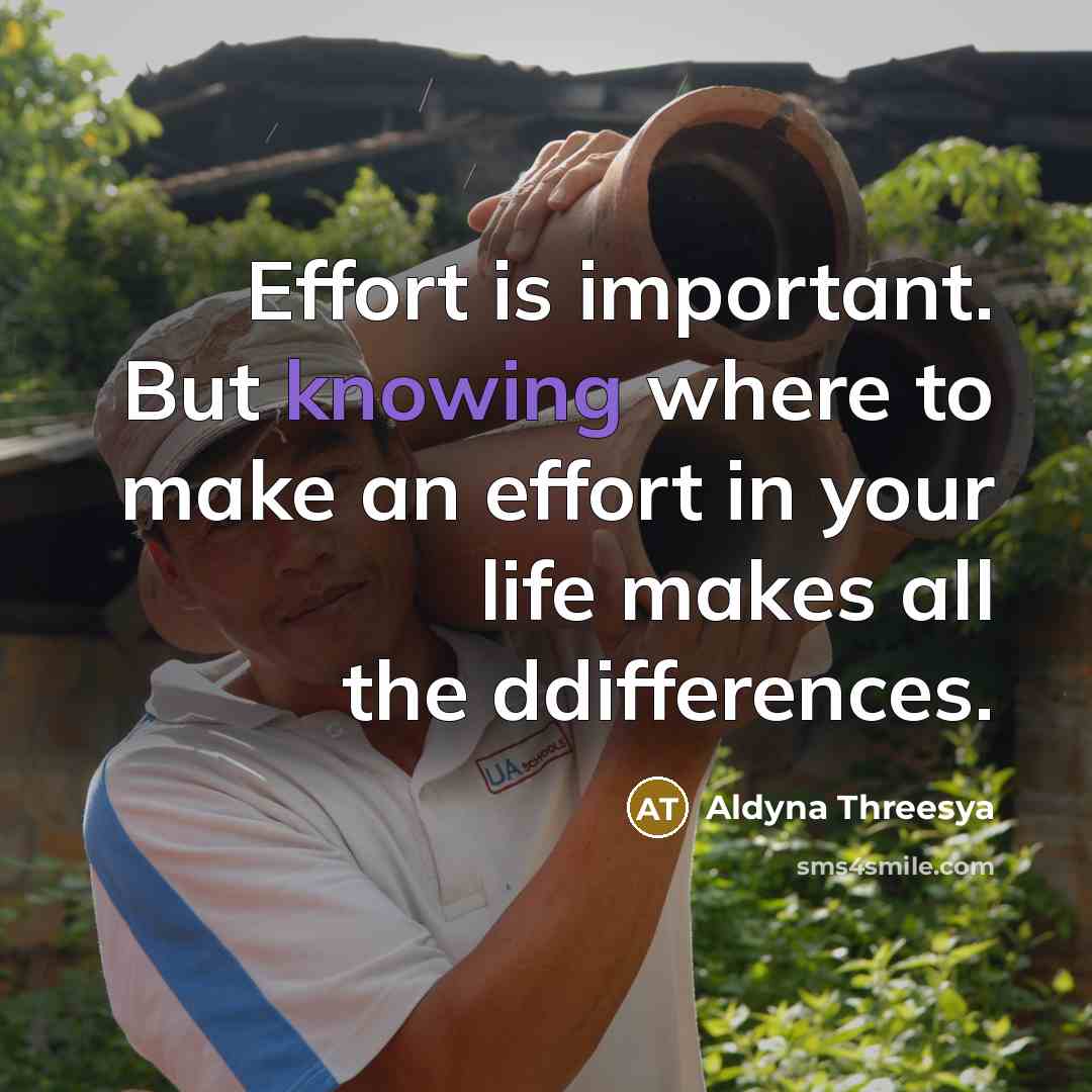 “Effort is important. But knowing where to make an effort in your life makes all the ddifferences.” quote by Aldyna Threesya