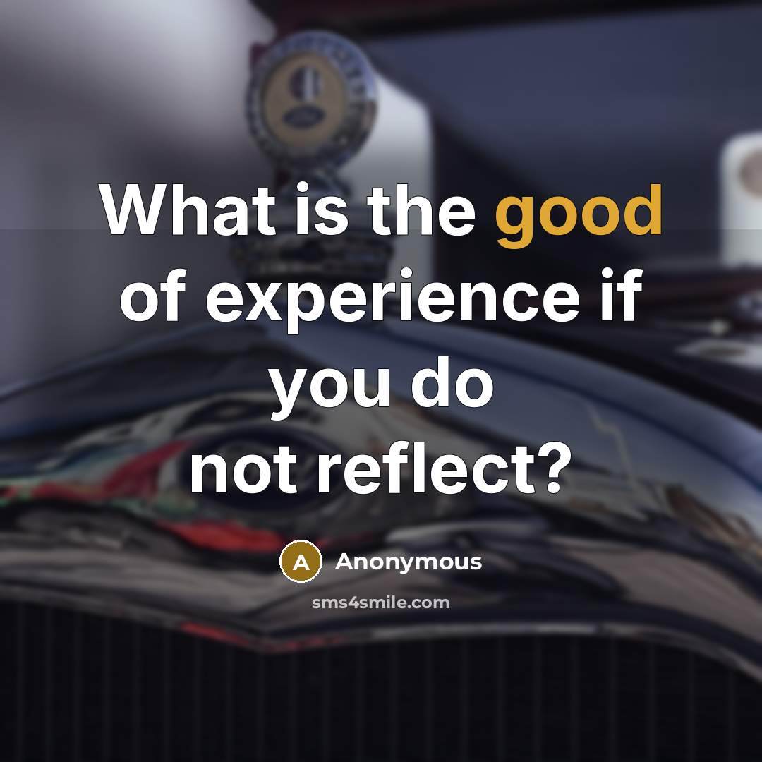 “What is the good of experience if you do not reflect?” quote by Anonymous