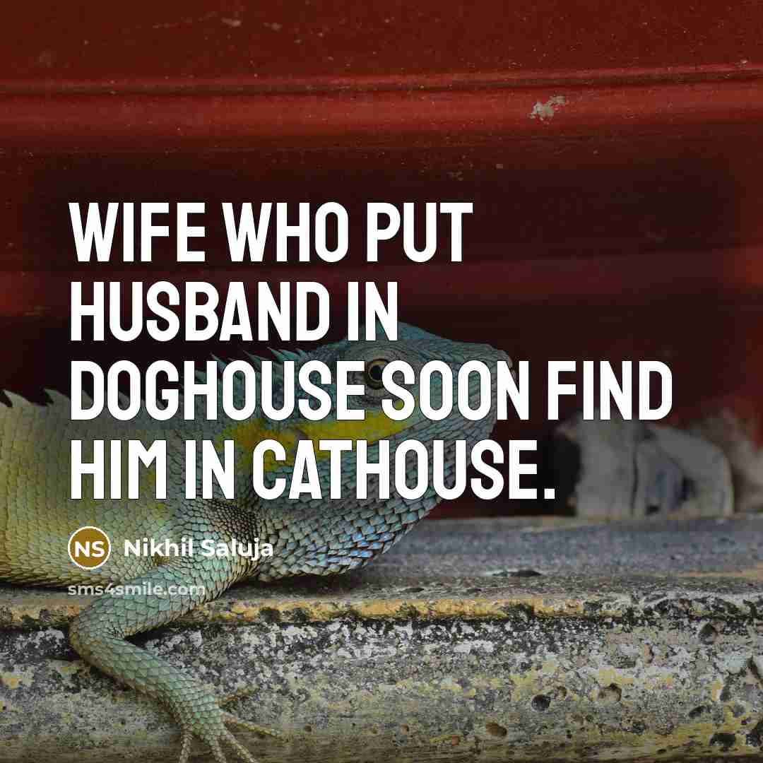 “Wife who put husband in doghouse soon find him in cathouse.” quote by Nikhil Saluja