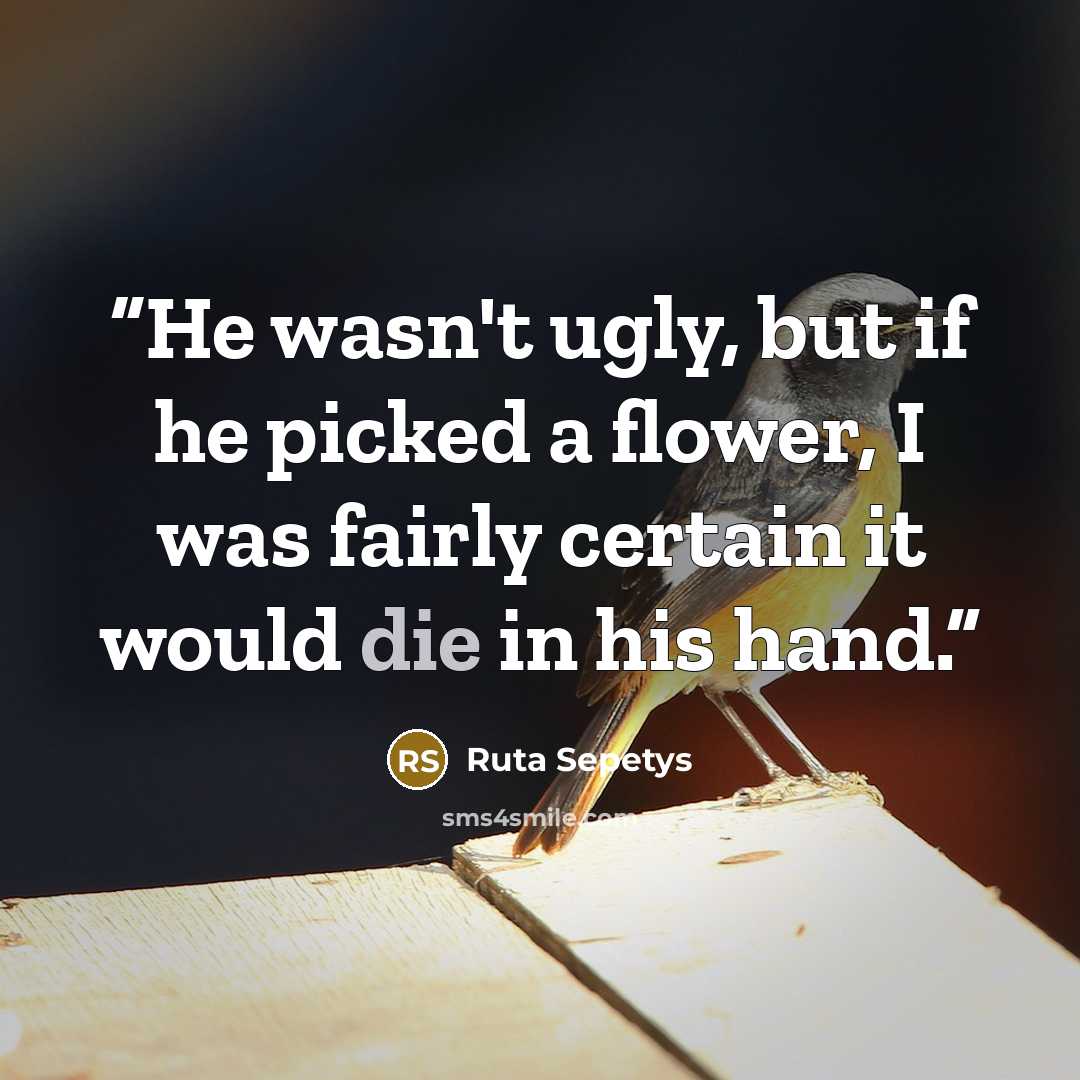 “He wasn't ugly, but if he picked a flower, I was fairly certain it would die in his hand.” quote by Ruta Sepetys