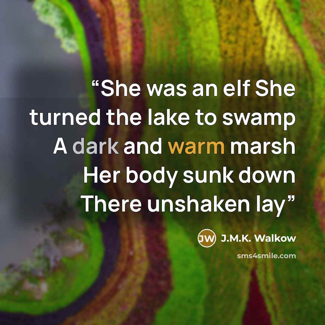 “She was an elf She turned the lake to swamp A dark and warm marsh Her body sunk down There unshaken lay” quote by J.M.K. Walkow