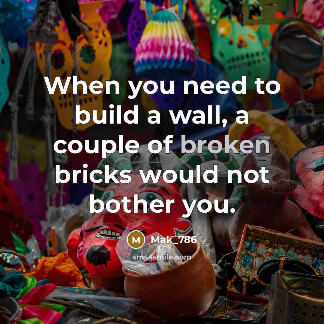 “When you need to build a wall, a couple of broken bricks would not bother you.” quote by Mak_786