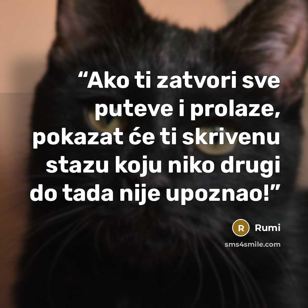 “Ako ti zatvori sve puteve i prolaze, pokazat će ti skrivenu stazu koju niko drugi do tada nije upoznao!” quote by Rumi