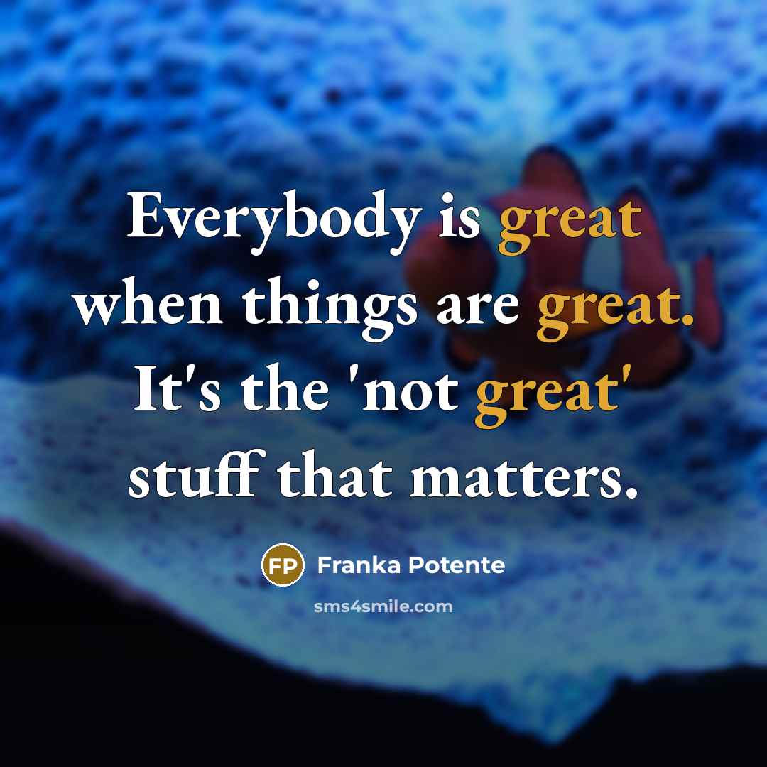 “Everybody is great when things are great. It's the 'not great' stuff that matters.” quote by Franka Potente