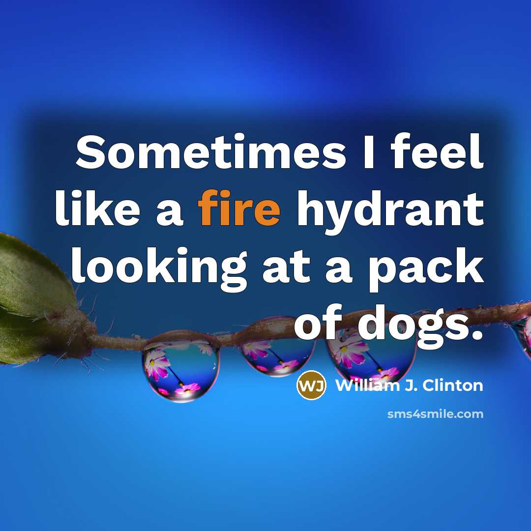 “Sometimes I feel like a fire hydrant looking at a pack of dogs.” quote by William J. Clinton