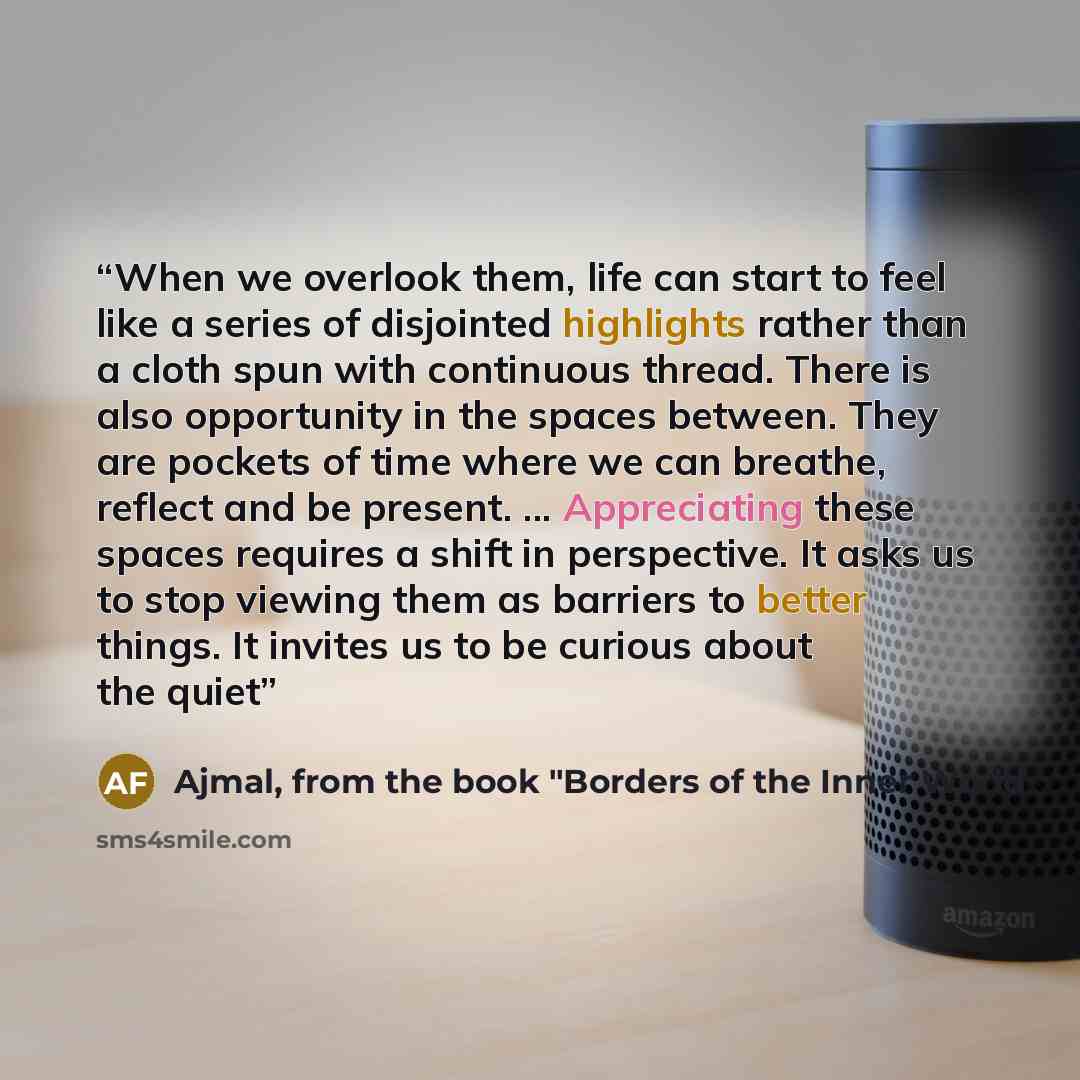 “When we overlook them, life can start to feel like a series of disjointed highlights rather than a cloth spun with continuous thread. There is also opportunity in the spaces between. They are pockets of time where we can breathe, reflect and be present. ... Appreciating these spaces requires a…” quote by Ajmal, from the book "Borders of the Inner World