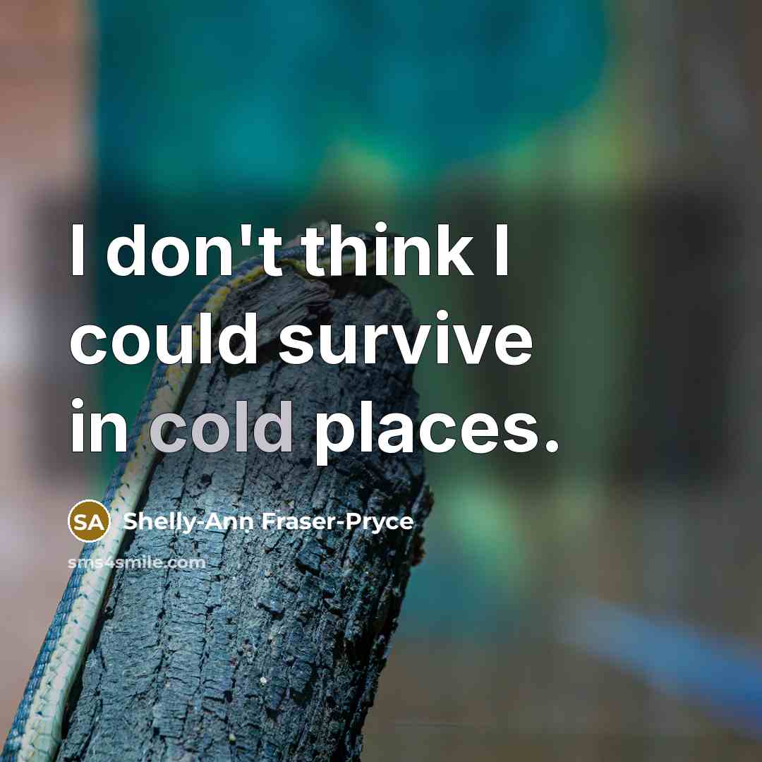 “I don't think I could survive in cold places.” quote by Shelly-Ann Fraser-Pryce