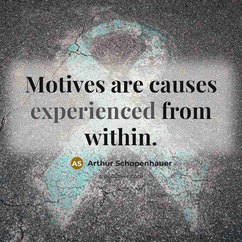 “Motives are causes experienced from within.” quote by Arthur Schopenhauer