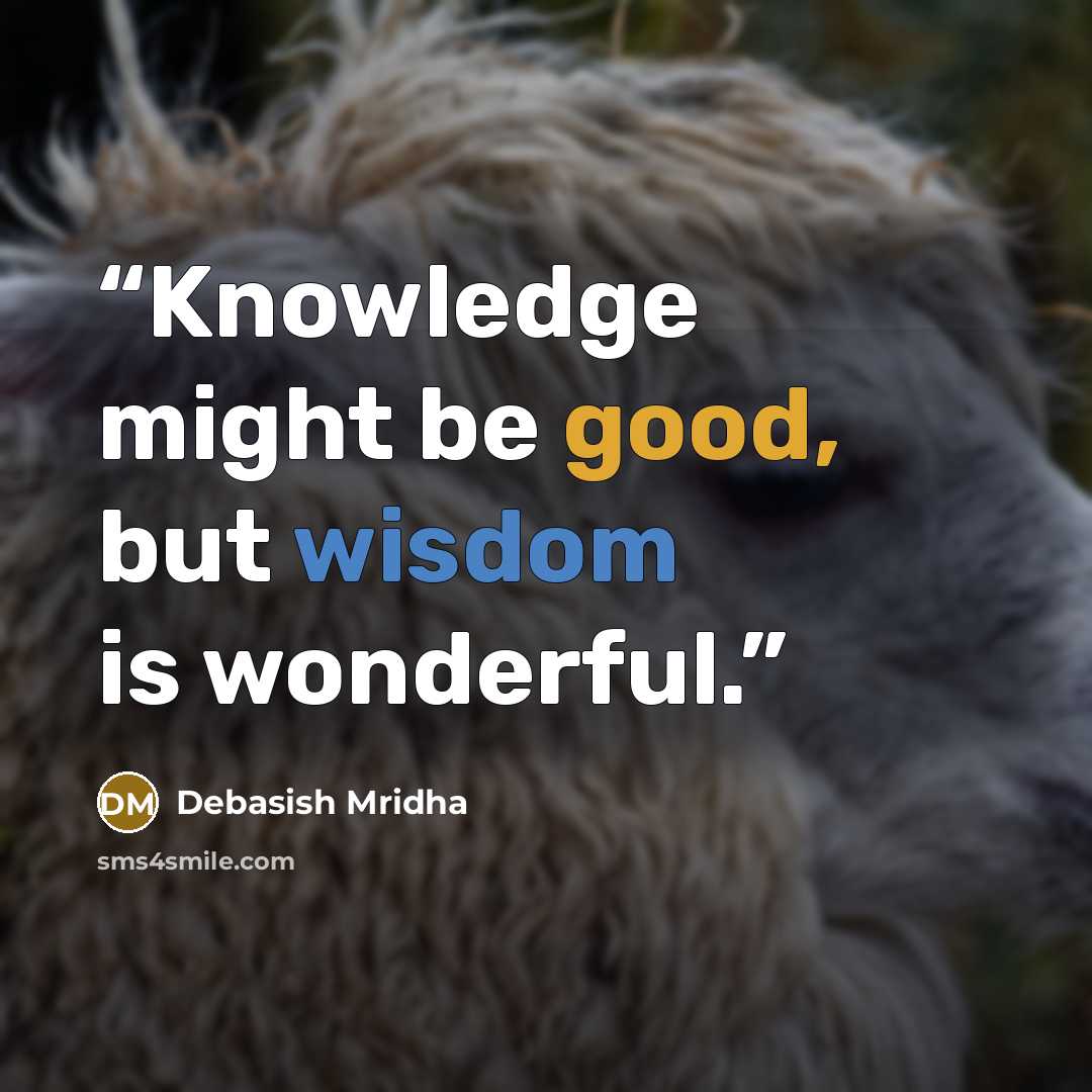 “Knowledge might be good, but wisdom is wonderful.” quote by Debasish Mridha
