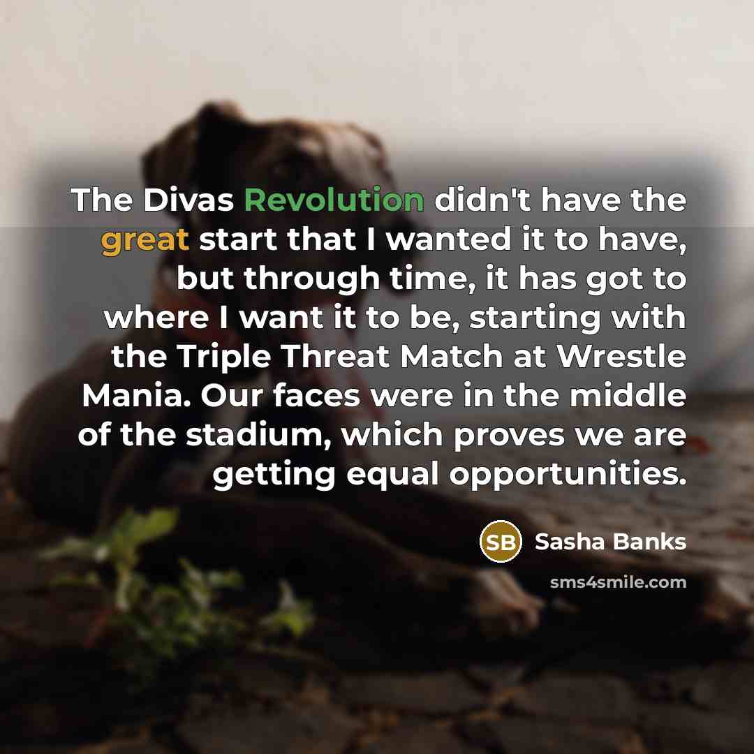 “The Divas Revolution didn't have the great start that I wanted it to have, but through time, it has got to where I want it to be, starting with the Triple Threat Match at Wrestle Mania. Our faces were in the middle of the stadium, which proves we are getting equal opportunities.” quote by Sasha Banks