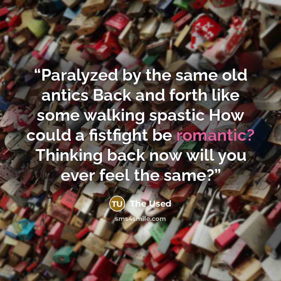 “Paralyzed by the same old antics Back and forth like some walking spastic How could a fistfight be romantic? Thinking back now will you ever feel the same?” quote by The Used