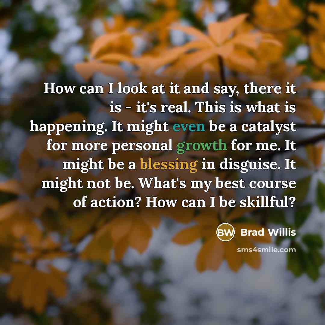 “How can I look at it and say, there it is - it's real. This is what is happening. It might even be a catalyst for more personal growth for me. It might be a blessing in disguise. It might not be. What's my best course of action? How can I be skillful?” quote by Brad Willis