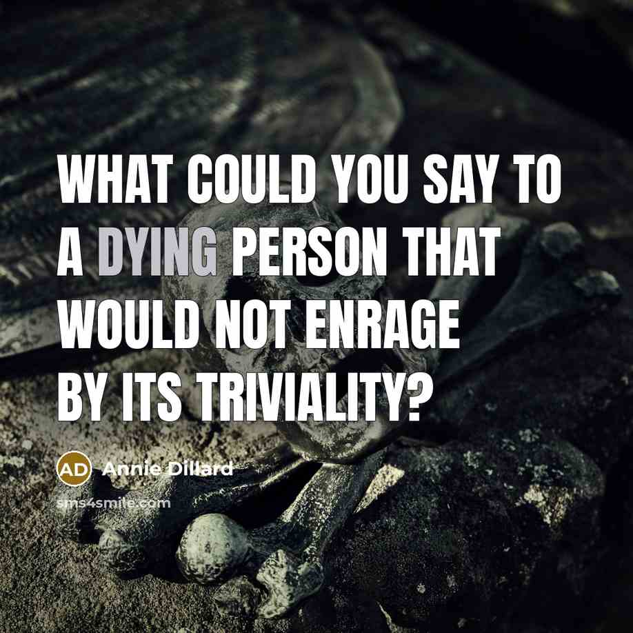 “What could you say to a dying person that would not enrage by its triviality?” quote by Annie Dillard