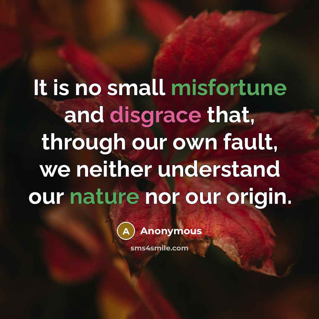 “It is no small misfortune and disgrace that, through our own fault, we neither understand our nature nor our origin.” quote by Anonymous