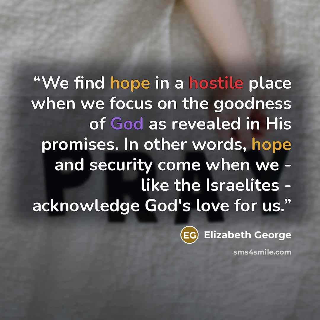 “We find hope in a hostile place when we focus on the goodness of God as revealed in His promises. In other words, hope and security come when we - like the Israelites - acknowledge God's love for us.” quote by Elizabeth George