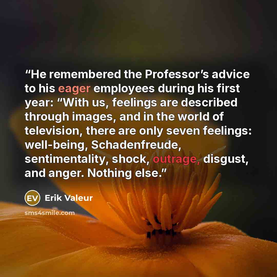 “He remembered the Professor’s advice to his eager employees during his first year: “With us, feelings are described through images, and in the world of television, there are only seven feelings: well-being, Schadenfreude, sentimentality, shock, outrage, disgust, and anger. Nothing else.” quote by Erik Valeur