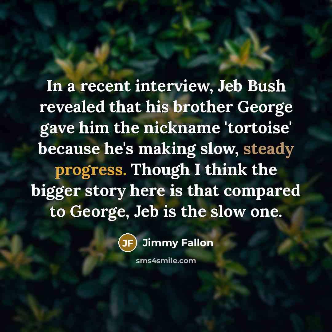 “In a recent interview, Jeb Bush revealed that his brother George gave him the nickname 'tortoise' because he's making slow, steady progress. Though I think the bigger story here is that compared to George, Jeb is the slow one.” quote by Jimmy Fallon