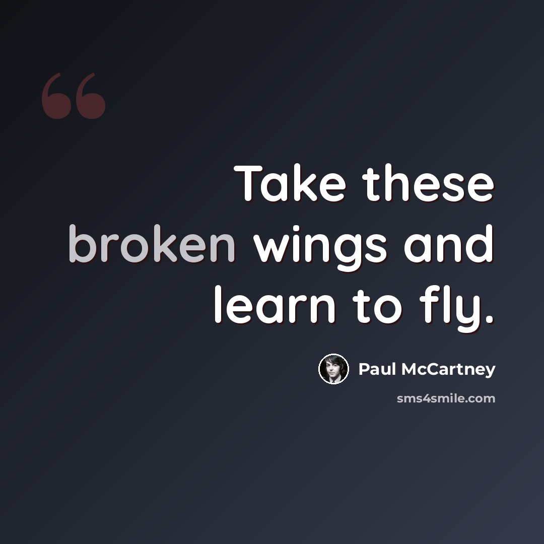 “Take these broken wings and learn to fly.” quote by Paul McCartney
