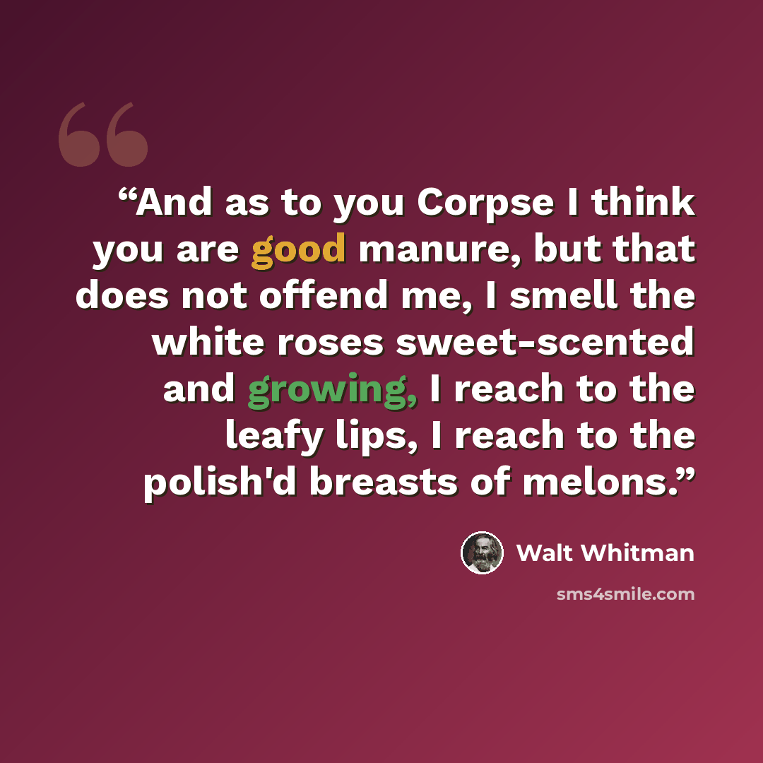 “And as to you Corpse I think you are good manure, but that does not offend me, I smell the white roses sweet-scented and growing, I reach to the leafy lips, I reach to the polish'd breasts of melons.” quote by Walt Whitman