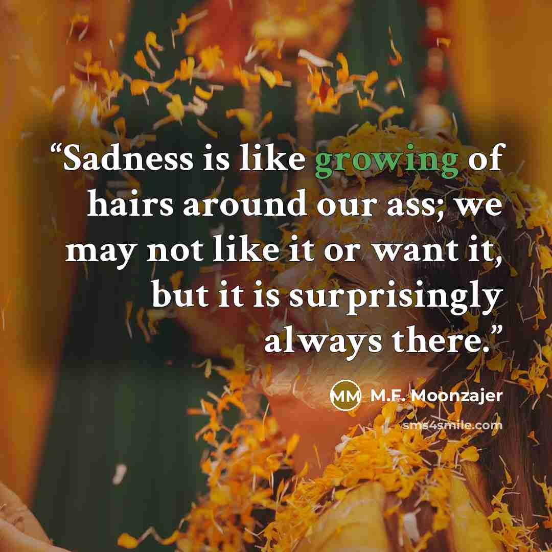 “Sadness is like growing of hairs around our ass; we may not like it or want it, but it is surprisingly always there.” quote by M.F. Moonzajer