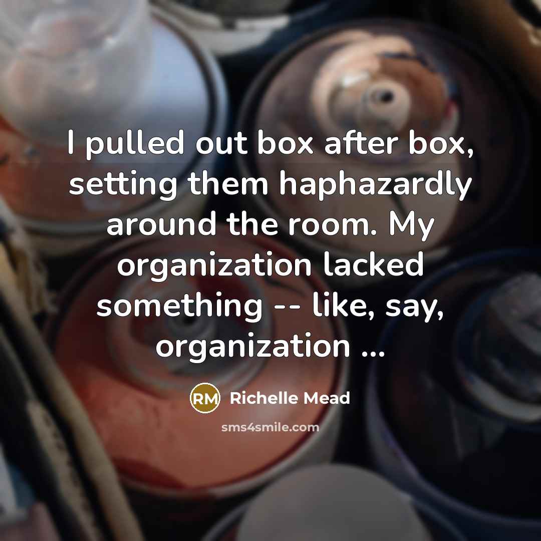 “I pulled out box after box, setting them haphazardly around the room. My organization lacked something -- like, say, organization ...” quote by Richelle Mead