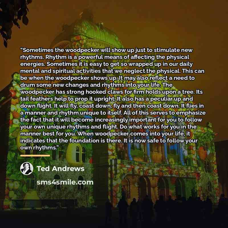 “Sometimes the woodpecker will show up just to stimulate new rhythms. Rhythm is a powerful means of affecting the physical energies. Sometimes it is easy to get so wrapped up in our daily mental and spiritual activities that we neglect the physical. This can be when the woodpecker shows up. It may…” quote by Ted Andrews