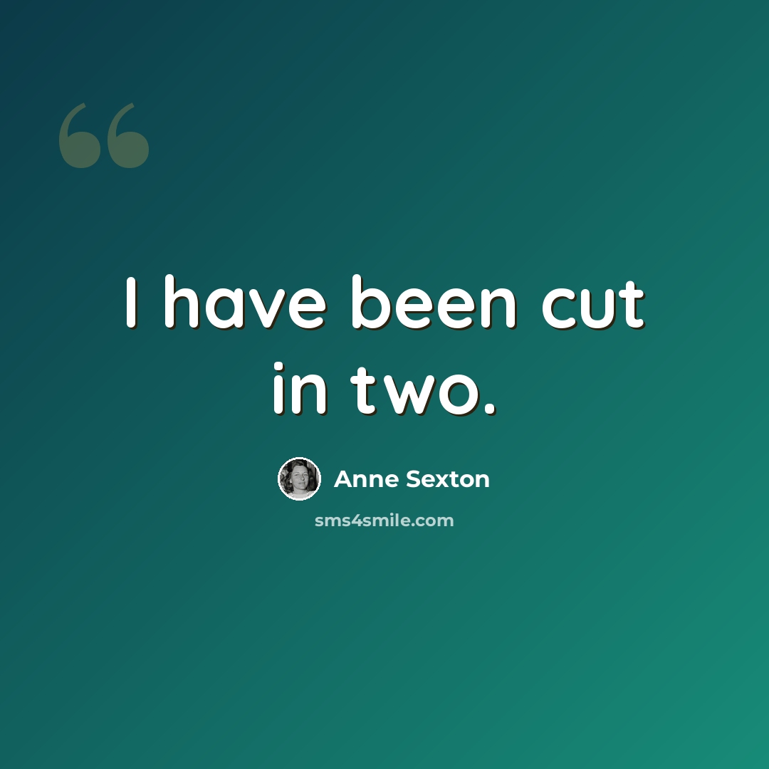 “I have been cut in two.” quote by Anne Sexton