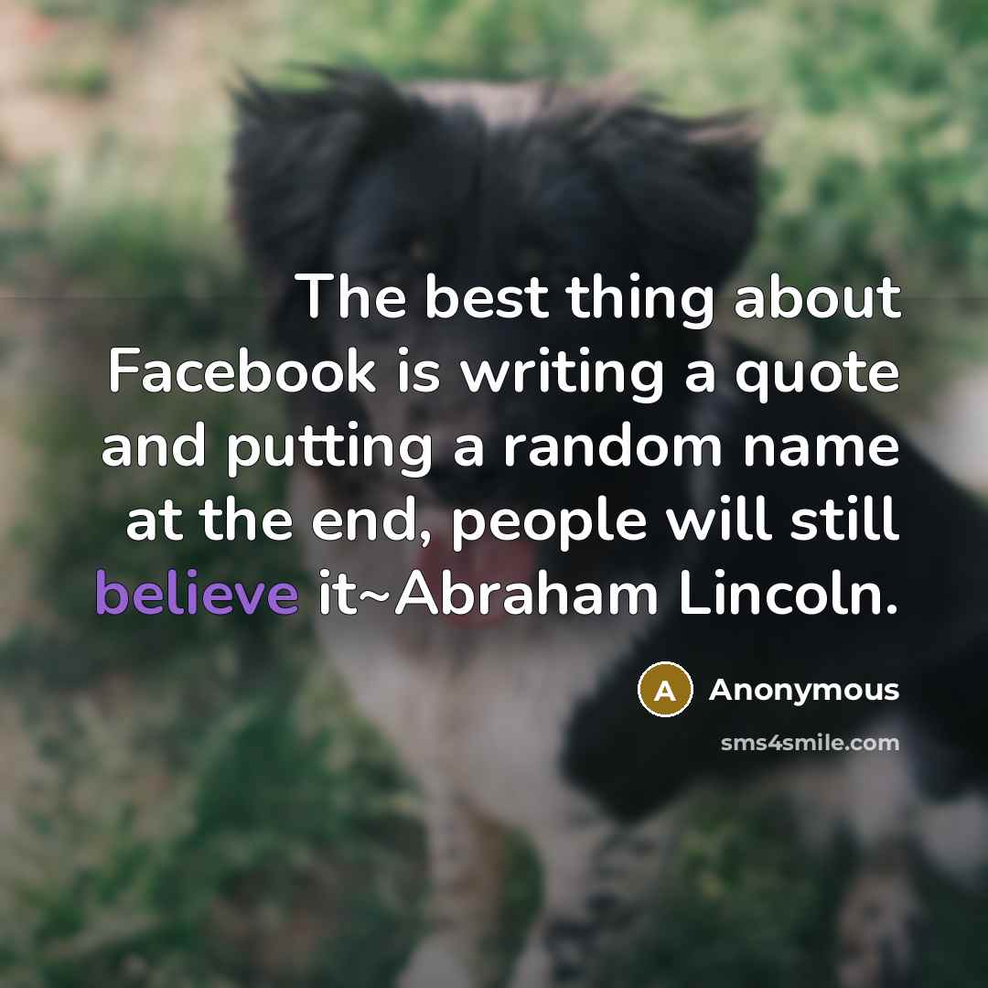 “The best thing about Facebook is writing a quote and putting a random name at the end, people will still believe it~Abraham Lincoln.” quote by Anonymous