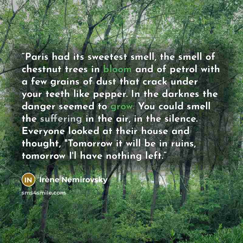 “Paris had its sweetest smell, the smell of chestnut trees in bloom and of petrol with a few grains of dust that crack under your teeth like pepper. In the darknes the danger seemed to grow. You could smell the suffering in the air, in the silence. Everyone looked at their house and thought…” quote by Irene Nemirovsky
