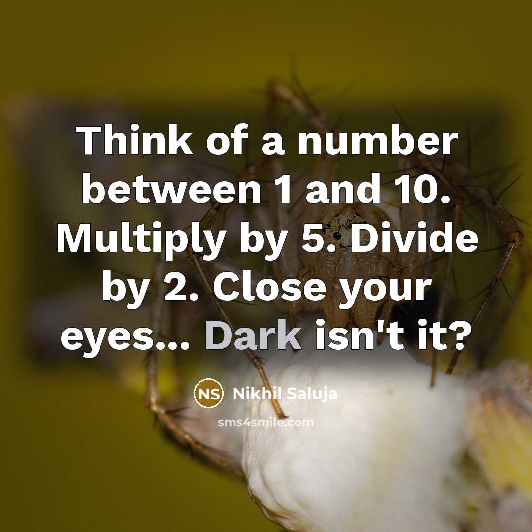 “Think of a number between 1 and 10. Multiply by 5. Divide by 2. Close your eyes... Dark isn't it?” quote by Nikhil Saluja