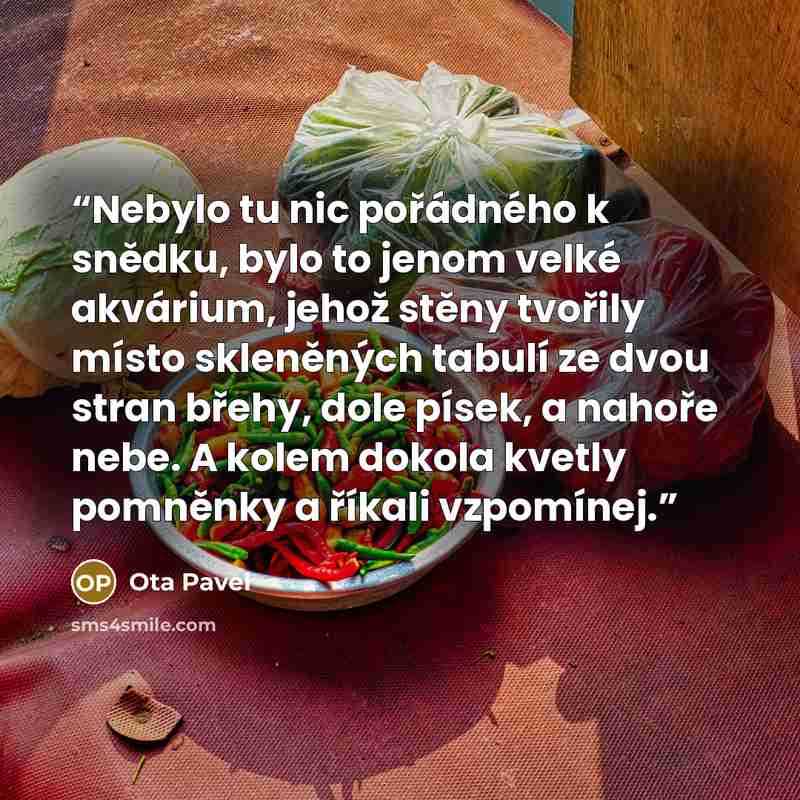 “Nebylo tu nic pořádného k snědku, bylo to jenom velké akvárium, jehož stěny tvořily místo skleněných tabulí ze dvou stran břehy, dole písek, a nahoře nebe. A kolem dokola kvetly pomněnky a říkali vzpomínej.” quote by Ota Pavel