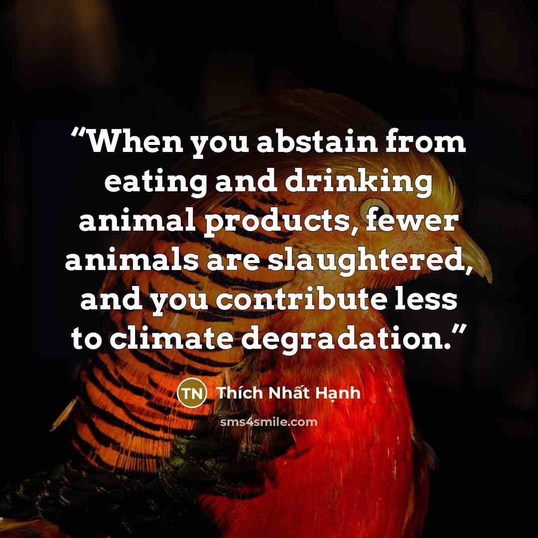“When you abstain from eating and drinking animal products, fewer animals are slaughtered, and you contribute less to climate degradation.” quote by Thich Nhat Hanh
