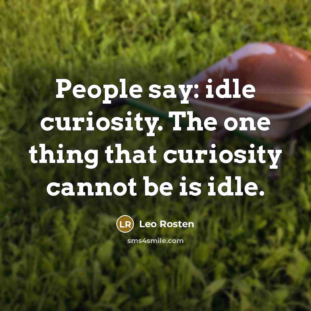“People say: idle curiosity. The one thing that curiosity cannot be is idle.” quote by Leo Rosten