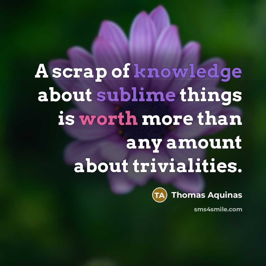 “A scrap of knowledge about sublime things is worth more than any amount about trivialities.” quote by Thomas Aquinas