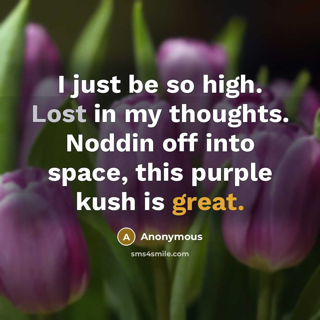 “I just be so high. Lost in my thoughts. Noddin off into space, this purple kush is great.” quote by Anonymous