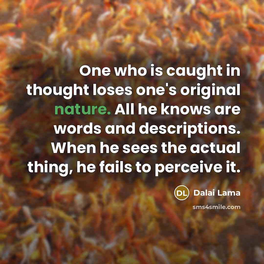 “One who is caught in thought loses one's original nature. All he knows are words and descriptions. When he sees the actual thing, he fails to perceive it.” quote by Dalai Lama