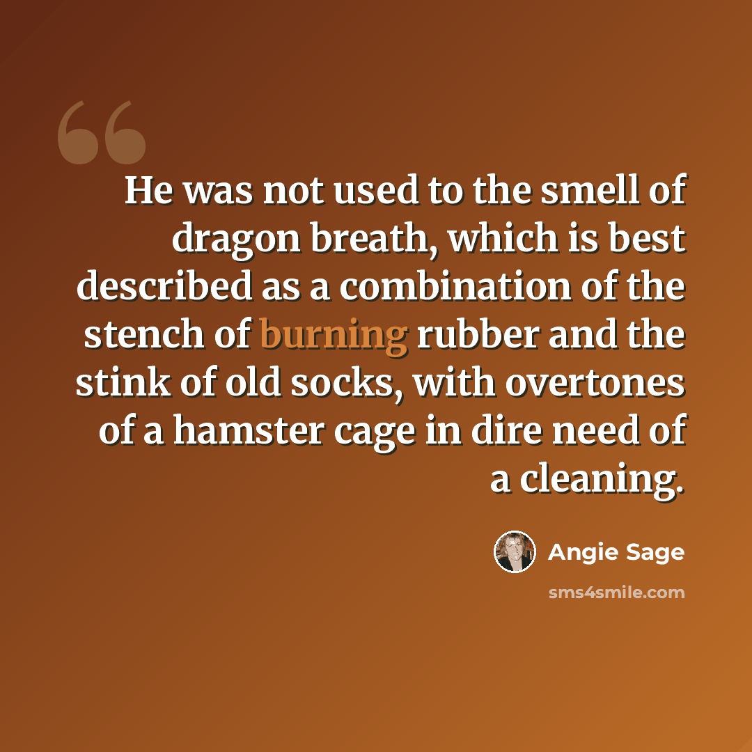 “He was not used to the smell of dragon breath, which is best described as a combination of the stench of burning rubber and the stink of old socks, with overtones of a hamster cage in dire need of a cleaning.” quote by Angie Sage
